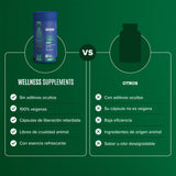 Daily Spore Probiotic - Probióticos con 10 Billones de UFC - 140 Cápsulas - 140 Porciones