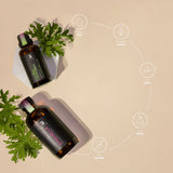 Essential Oil Citronella | Aceite Esencial de Citronela 50 y 120 ml