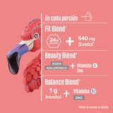 Fitmingo Protein Blueberry 510 g - 15 Servicios