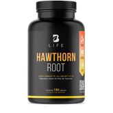 Hawthorn Root | Raíz de Tejocote