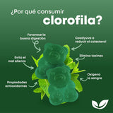 Cool Bites | Gomitas de Clorofila 14 gomitas