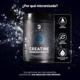 Creatine Monohydrate Powder | Creatina Monohidratada en Polvo 120 porciones