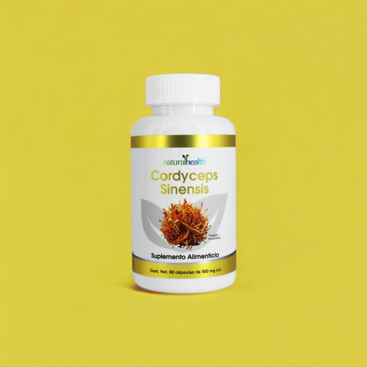 CORDYCEPS FRASCO CON 60 CÁPSULAS DE 500  MG C/U
