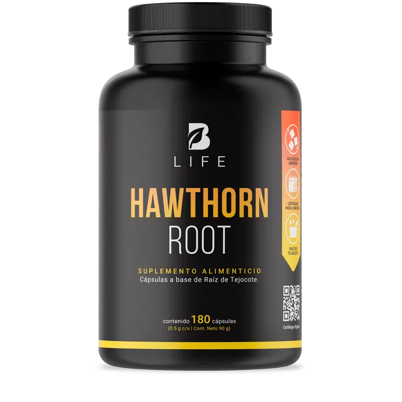 Hawthorn Root | Raíz de Tejocote